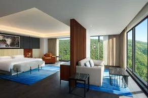 Hyatt Regency Dehradun Resort and Spa - Room
