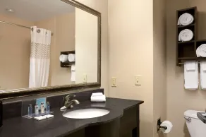Hampton Inn & Suites Mansfield - Chambre