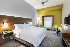 Holiday Inn Express Hotel & Suites PORT ARTHUR by IHG - Værelse