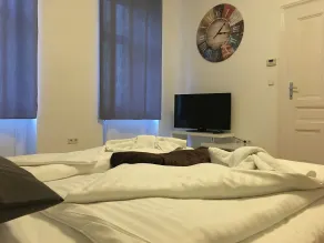 United Homes Apartments Vienna - Quarto