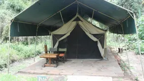 Siana Springs Tented Camp - Habitación