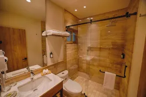 HOTEL CASA ARANZAZU SAN LUIS POTOSI - Badeværelse