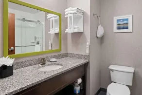 Hampton Inn Franklin/Milford - Salle de bain