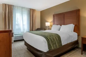 Comfort Inn & Suites Dimondale - Lansing - Room