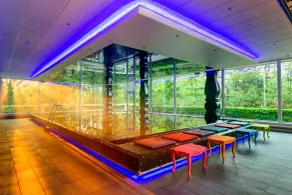 Crowne Plaza Antwerpen by IHG - Piscina
