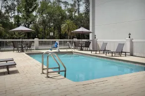 Spark by Hilton Tampa Brandon - Piscine