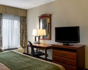Quality Inn Cleveland, MS - Room