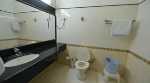 Blue Bird Hisar - Bathroom