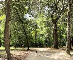 The Inn at Middleton Place - Réception