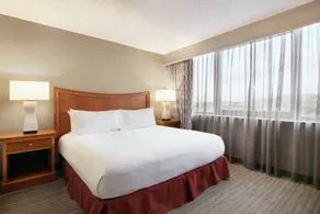 Embassy Suites by Hilton Orlando International Dr ICON Park - Chambre