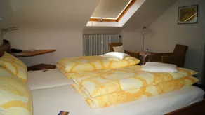 Villa Bruderfels, Garni - Camera