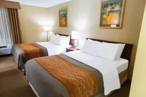 Comfort Inn New Holland Amish Country - Chambre