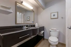 Comfort Inn Sherman - Denison Area - Badrum