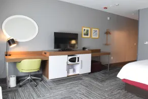 Hampton Inn Buffalo-Hamburg - Room