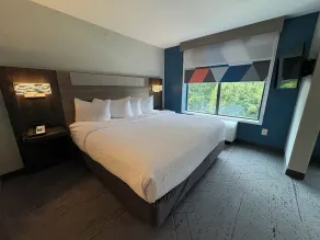 Holiday Inn Express & Suites Raleigh West - Lenovo Center by IHG - Chambre