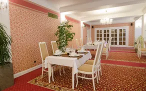 Hotel Ostrov - Restaurant