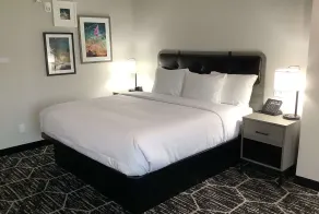 La Quinta Inn & Suites by Wyndham Corpus Christi Southeast - Room