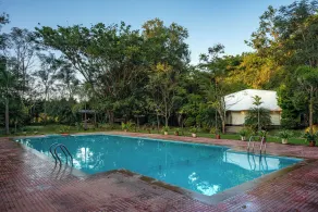 Dandeli Luxury Jungle Resort - Piscina