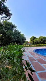 The Greenwich Resort - Pool