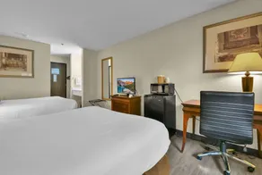 Baymont by Wyndham Zanesville - Chambre