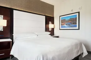 Embassy Suites by Hilton Noblesville Indianapolis Convention Center - Værelse