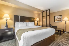 Comfort Suites Downtown - Chambre