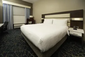 Hilton Garden Inn Fayetteville Fort Bragg - Chambre