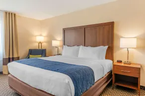 Comfort Inn & Suites near Route 66 - Værelse