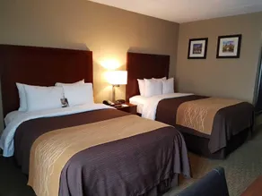 Comfort Inn Wethersfield - Hartford - Chambre