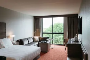 Revel Hotel Des Moines Urbandale, Tapestry Collection by Hilton - Vue de la chambre