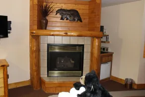 Spearfish Canyon Lodge - Chambre