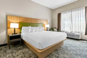 Country Inn & Suites By Radisson, Charleston North, SC - Chambre
