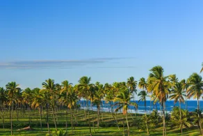 Vivá Porto de Galinhas Resort - Vistas desde la habitación