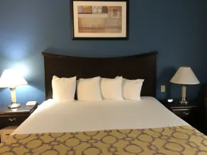 Best Western Decatur Inn - Chambre