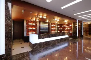 Grand Majestic Hotel Prague - Reception