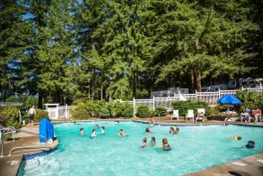 Paradise RV Campground - Basseng