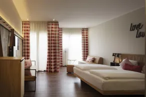 Mjus Resort & Thermal Park - Room