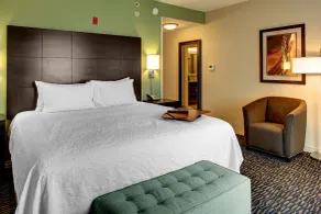 Hampton Inn & Suites Baton Rouge Downtown - Chambre