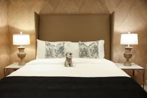 O:Live Boutique Hotel, A Small Luxury Hotel of the World - Room