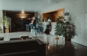 Hotel Quinta dos Cedros - Réception