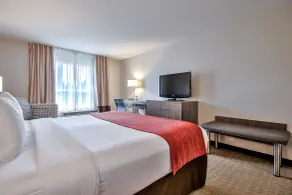 Comfort Inn & Suites South - Room