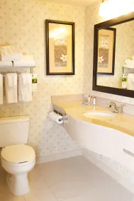 Home2 Suites by Hilton St. Charles St.Louis - Badrum