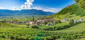 Vineus Tramin - Vista do quarto
