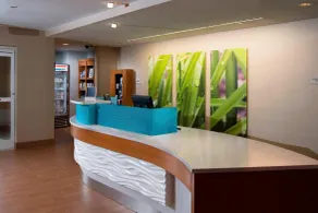 SpringHill Suites by Marriott Atlanta Alpharetta - Réception