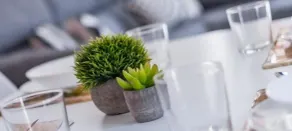 MIROTZA ROOMS AND APARTMENTS - Restaurant