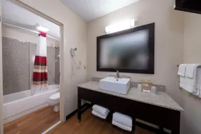 Red Roof Inn PLUS+ Huntsville – Madison - Badezimmer