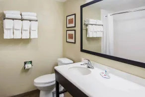 Comfort Inn Atlanta Downtown South - Baño