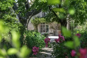 Hôtel Mas Valentine - Réception