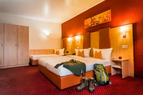 Rheinhotel Rüdesheim - Wellness - Chambre
