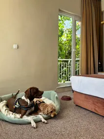 MOY Beldibi Hotel - Room